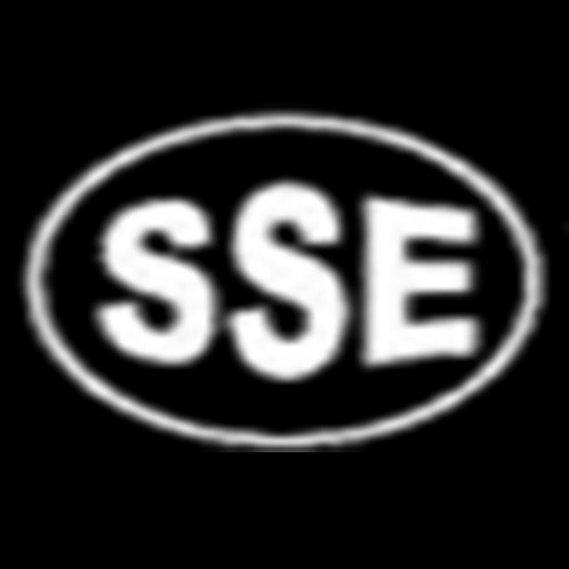 Sai Shree Enterprises logo